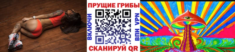 купить  цена  Кострома  Галлюциногенные грибы Cubensis 